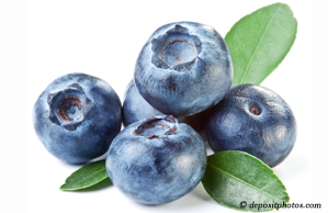 Groton chiropractic and nutritious blueberries